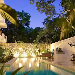 https://livetulum.allrivieramayahotels.com